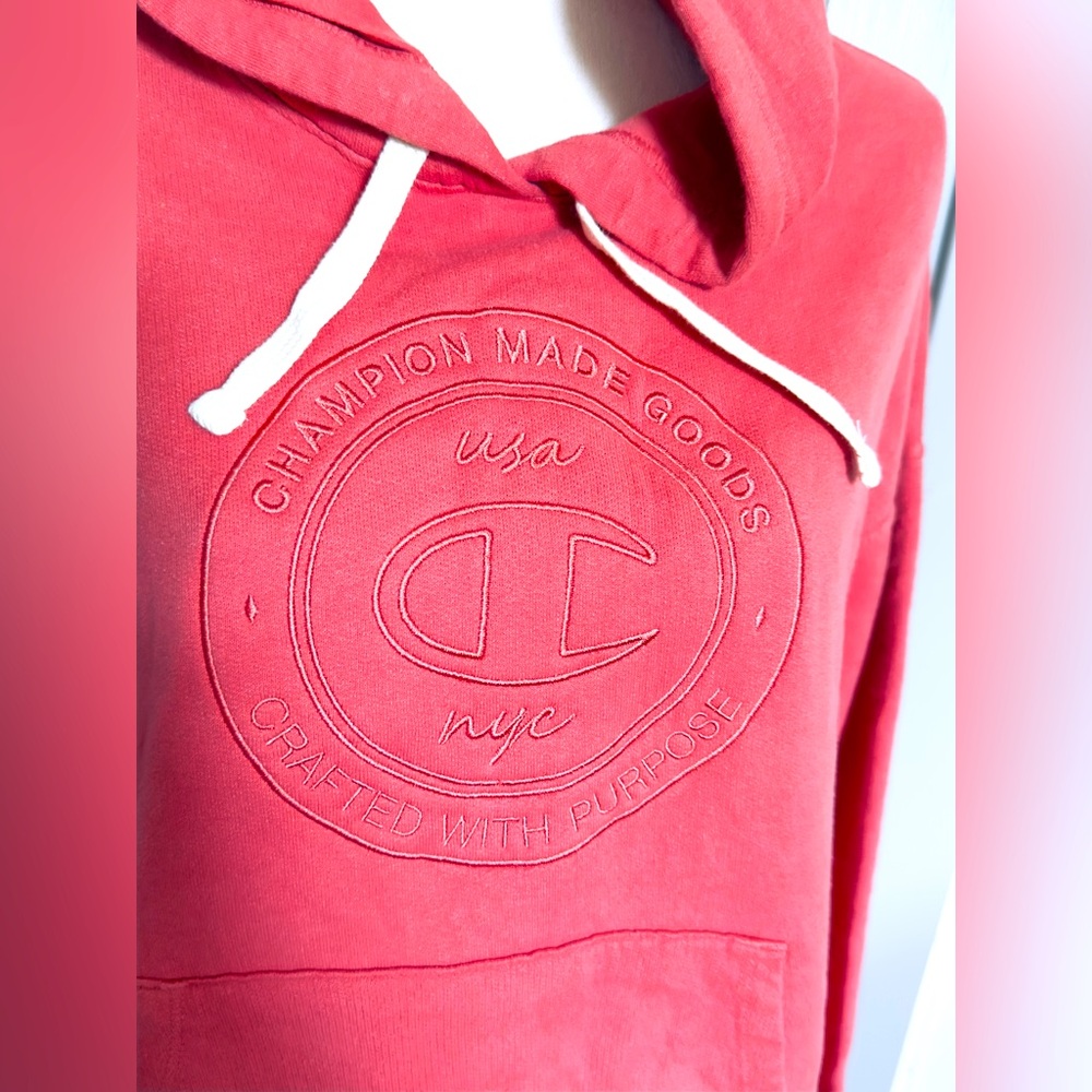 🆕NWT Champion Vintage Wash Hoodie Sz Small